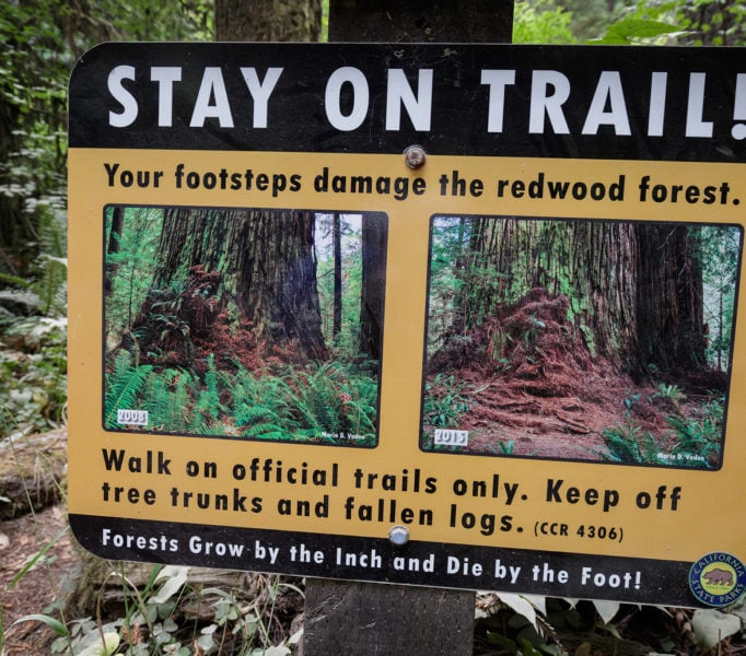 Visitors are asked to walk on designated trails in order to prevent the damage caused by “social” trails. Photo by Max Forster, @maxforsterphotography.