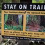 Visitors are asked to walk on designated trails in order to prevent the damage caused by “social” trails. Photo by Max Forster, @maxforsterphotography.