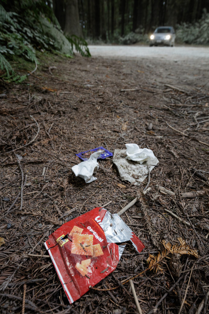 The Grove of Titans project will provide trash bins to mitigate littering like this. Photo by Max Forster, @maxforsterphotography.