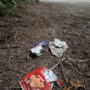 The Grove of Titans project will provide trash bins to mitigate littering like this. Photo by Max Forster, @maxforsterphotography.