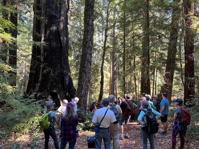 2022 redwood hikes HRRR