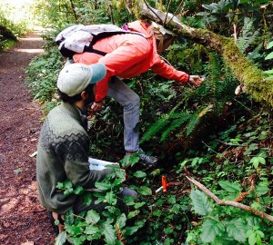 (HSU) interns, Shawna and Jake, conducting weekly plant monitoring.