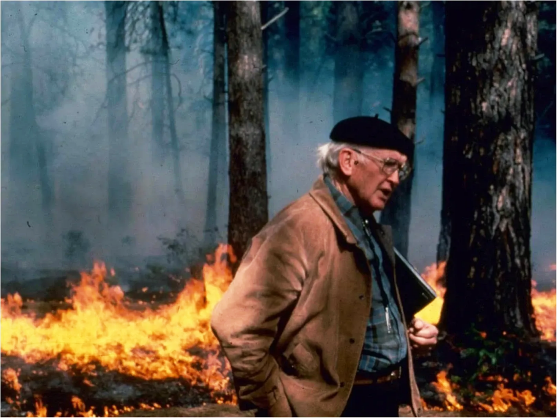 A man wearing a black beret and an overcoat walks through a forest with flames in the background