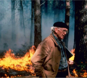 A man wearing a black beret and an overcoat walks through a forest with flames in the background