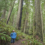 The League plans expanded access to the breathtaking Headwaters Forest Reserve with support from the federal Land and Water Conservation Fund. Speak up to reauthorize the program. Photo by Mike Shoys