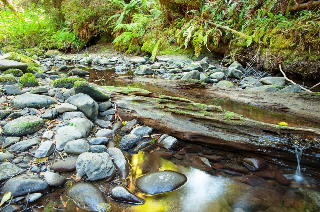 Headwaters waterways benefit from restoration