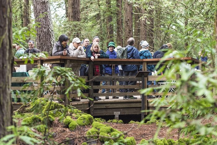 The Old-Growth Redwood Heritage Viewing Deck and Interpretive Exhibit includes a viewing platform that allows visitors to view the footprint of a redwood that was 18 feet wide. Photo by Fig & Olive Photography