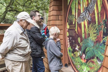 An interpretive panel by Save the Redwoods League identifies the plants and animals of the forest. Photo by Fig & Olive Photography