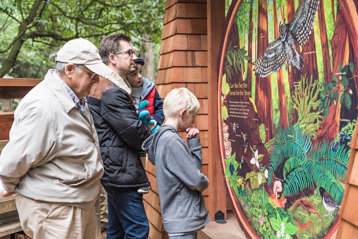An interpretive panel by Save the Redwoods League identifies the plants and animals of the forest. Photo by Fig & Olive Photography