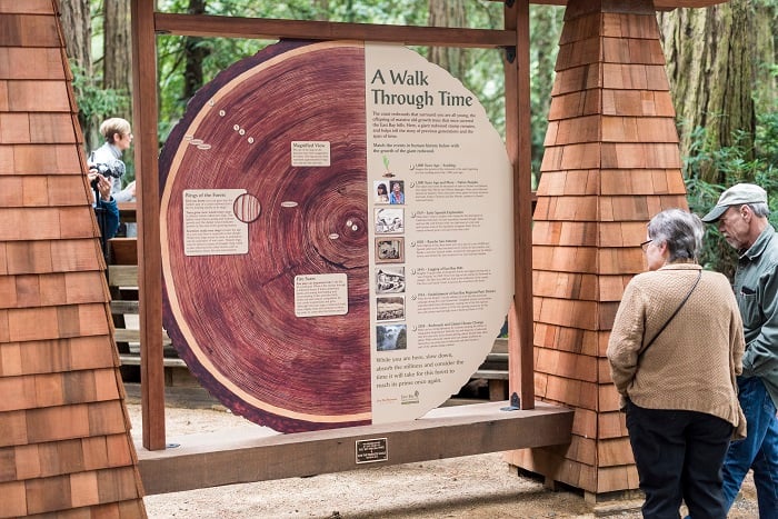 An interpretive panel by Save the Redwoods League explains the history of the area through the rings of a redwood tree. Photo by Fig & Olive Photography