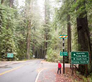 This marker reminds park visitors of the amazingly high water that swept through Humboldt Redwoods State Park during the December 1964 flood.