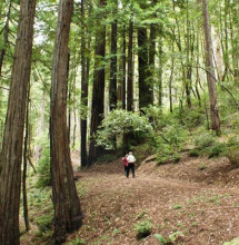 Hikers enjoy the partially restored River Trail.