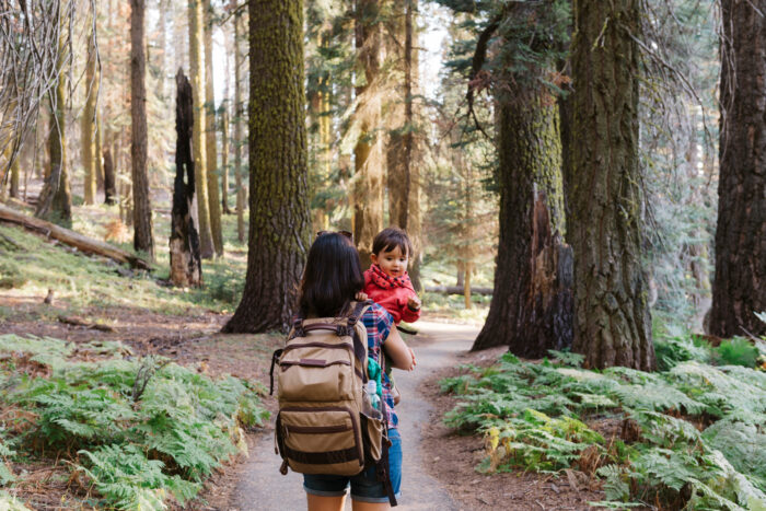 Mother holding a little girl as she hikes through the forest 