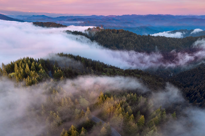 Redwoods magazine