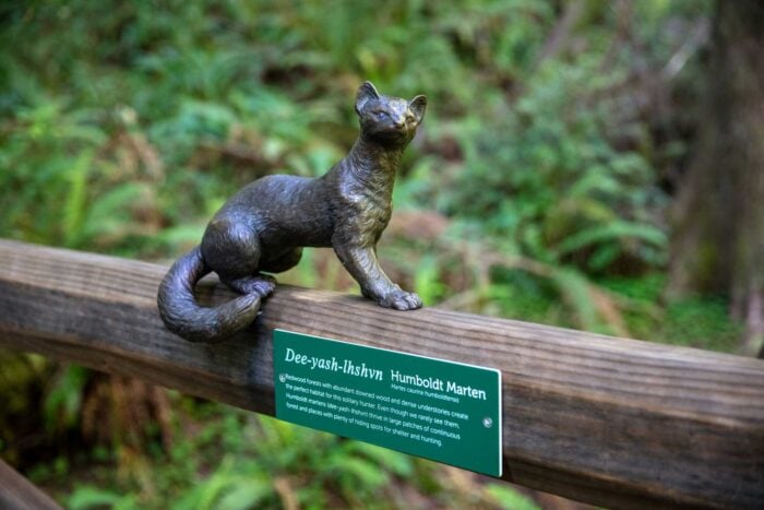 A sculpture of a squirrel-like mammal called the Humboldt marten perches on a fence post alongside an interpretive sign in both English and the Tolowa language