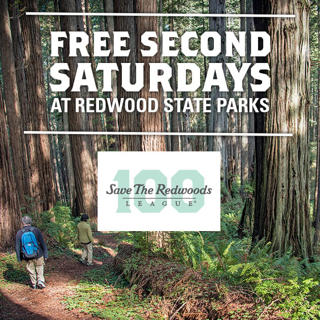 Explore CA Redwood State Parks for FREE on September 8. Download your pass today!