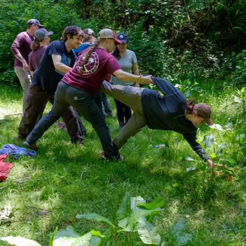 Photo by Matthew Morassutti, Redwoods Rising Fellow