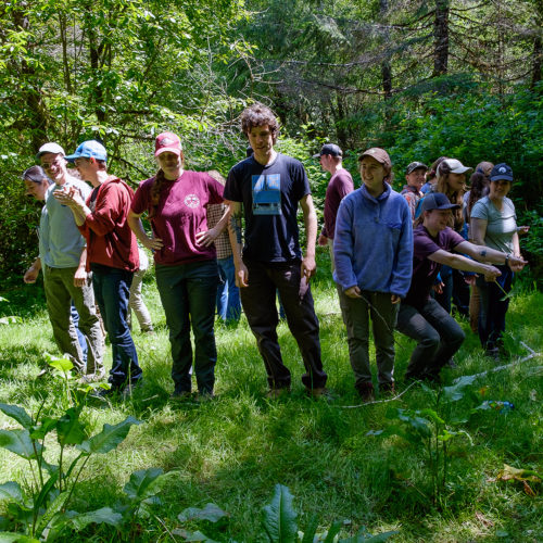 Photo by Matthew Morassutti, Redwoods Rising Fellow