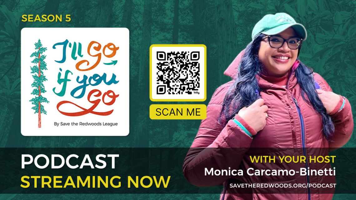 Season 5 of I'll Go If You Go is streaming now!