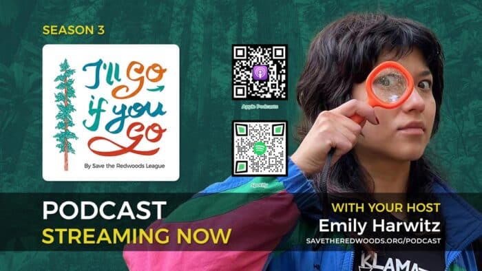 Podcast host Emily Harwitz with a magnifying glass