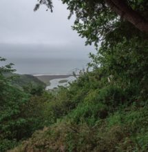 The trail offers ocean views. Photo by Victoria Reeder.