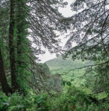 The trail offers valley views.  Photo by Victoria Reeder.