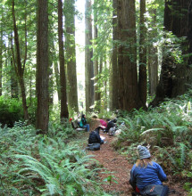 Kids learn about the forest