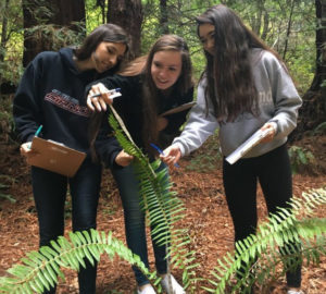 High school students get hands-on experience studying climate change in the redwood forest at Purisima Creek Redwoods Open Space Preserve.