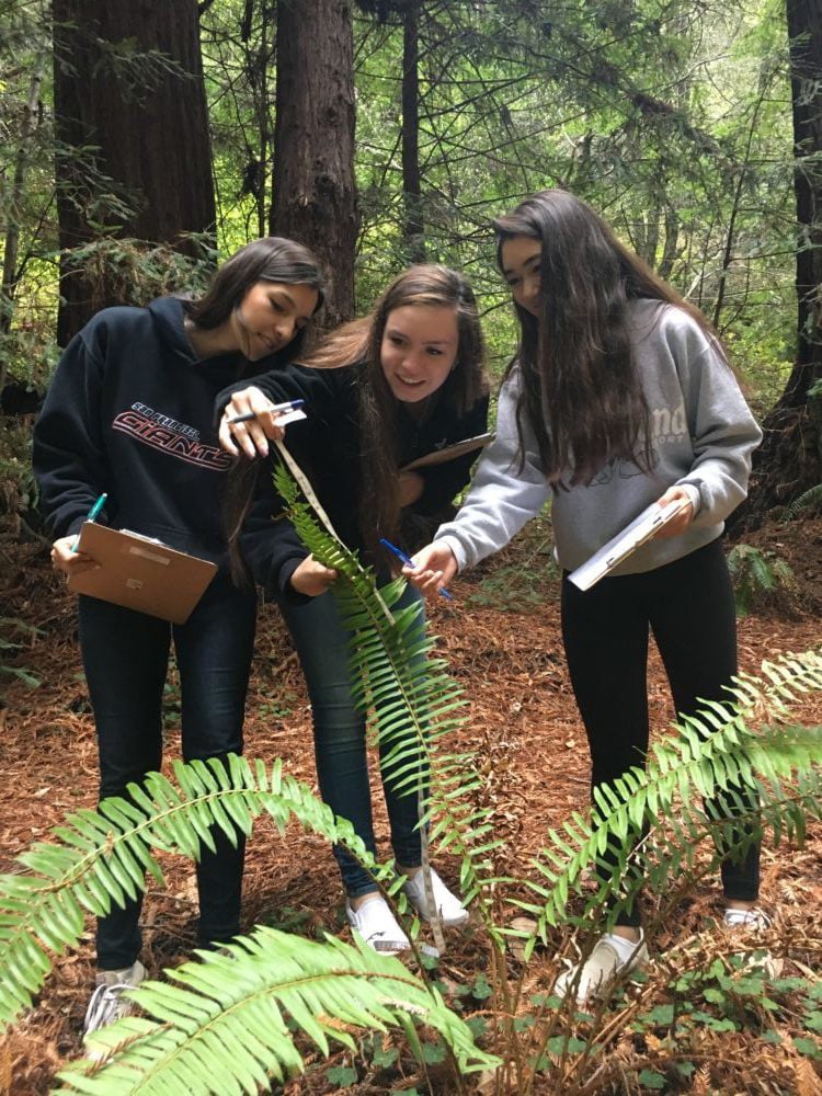 High school students get hands-on experience studying climate change in the redwood forest at Purisima Creek Redwoods Open Space Preserve.