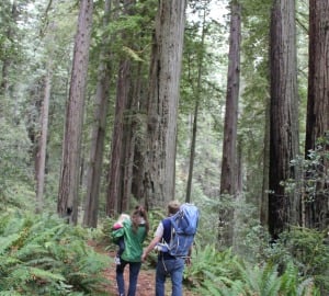Make the most of Thanksgiving with a pre- or post-dinner hike through the redwoods.