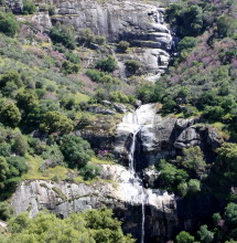 A seasonal waterfall flows along Salt Creek Road.