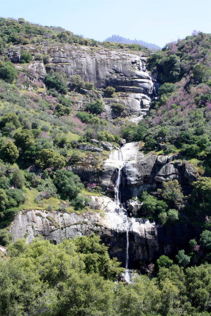 A seasonal waterfall flows along Salt Creek Road.
