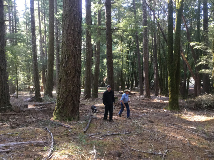 We’re reducing the threat of severe wildfire by managing vegetation buildups in this Humboldt County forest.