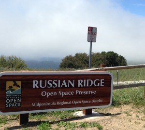 Measure AA will help fund enhancement projects like the newly opened Russian Ridge parking facility.