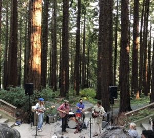 Redwood Grove Summer Concerts 2018