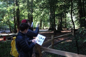 Marin high school students collect data for Redwood Watch.
