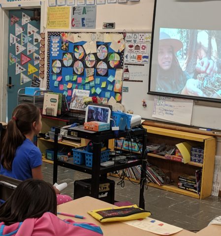 PORTS Giant Sequoia virtual field trip. Photo courtesy of Wendy Mertan, 5th Grade Teacher, Stagg Street Elementary, LA Unified School District.