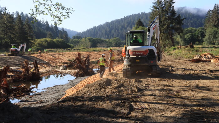 prairie creek restoration yurok crews