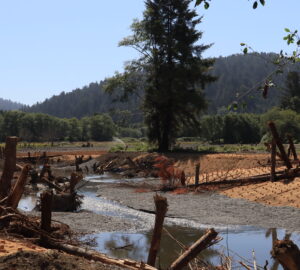 Epic makeover at a former redwood mill site in Humboldt County