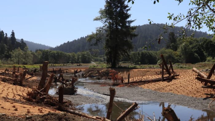 View of the newly restored section of Prairie Creek with visible biodegradable netting along the banks to hold the shoreline in place while native plants grow.