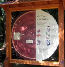 In April 2016, the League installed an interpretive panel explaining redwood forest plants, animals and tree rings and welcoming visitors to the Pfeiffer Falls Trail.