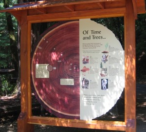 In April 2016, the League installed an interpretive panel explaining redwood forest plants, animals and tree rings and welcoming visitors to the Pfeiffer Falls Trail.