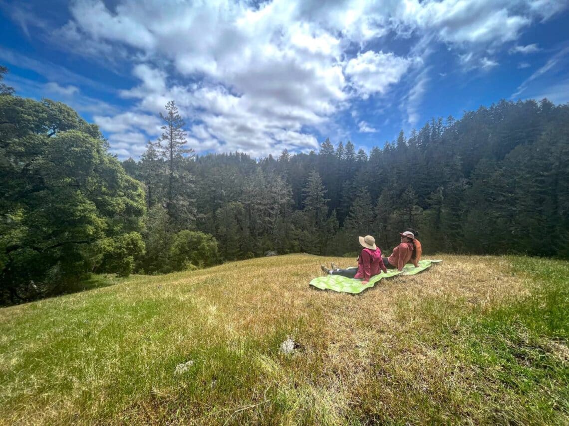 Two people sit on a blanket in a meadow overlooking a redwood forest