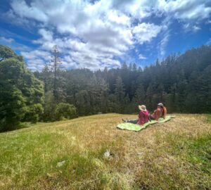 Two people sit on a blanket in a meadow overlooking a redwood forest