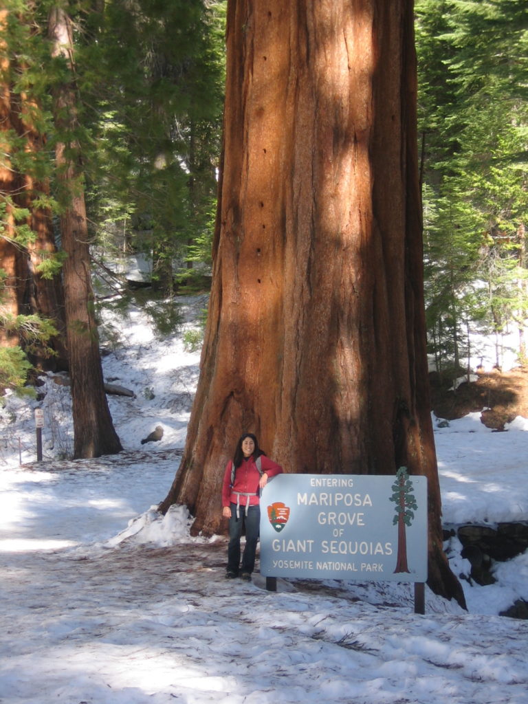 woman posing in Mariposa Grove