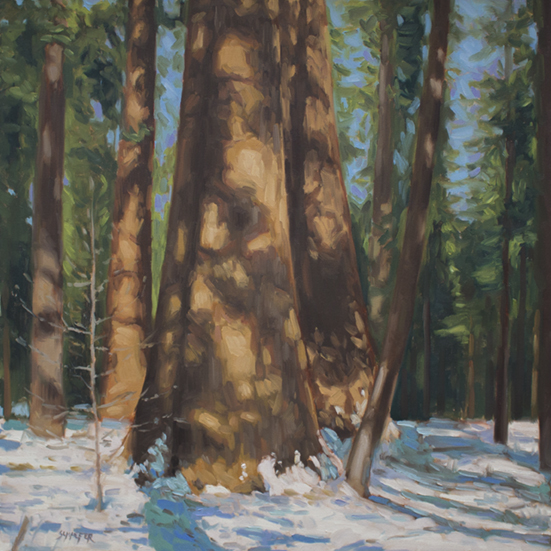 Oil painting from Calaveras Big Trees State Park by Brandon Schaefer, http://www.Brandon-Schaefer.com.