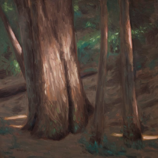 Oil painting from Roy's Redwoods Open Space Preserve by Brandon Schaefer, http://www.Brandon-Schaefer.com.