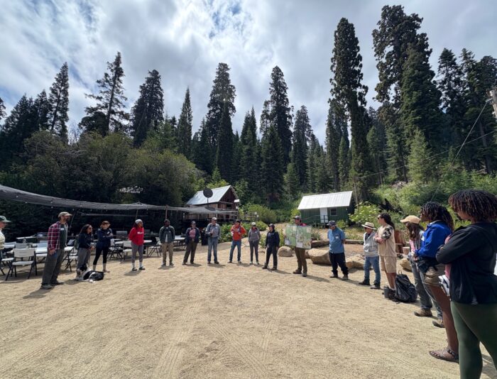 more than a dozen community members stand in a large circle with giant sequoia trees in the background