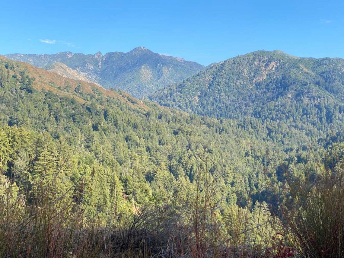 scenic vista of redwood studded mountains on a sunny day