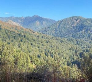 scenic vista of redwood studded mountains on a sunny day